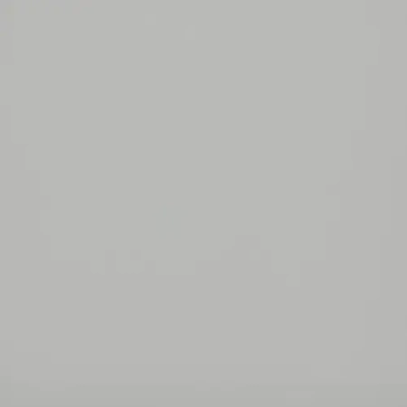 МДФ панель Evosoft EVS004 Горный Хрусталь (18*2800*1220) матовый (Kastamonu)