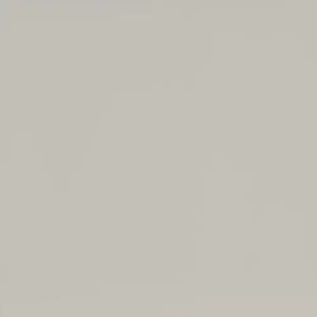 МДФ панель Evosoft EVS001 Белый Фарфоровый Оникс (18*2800*1220) матовый (Kastamonu)